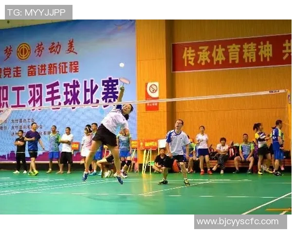 南京羽毛球队在锦标赛中的意识表现分析与总结